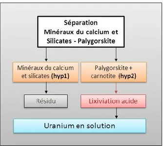 Figure 1-9 - Proposition 2 : séparation des minéraux du calcium + silicate de la carnotite et de la palygorskite
