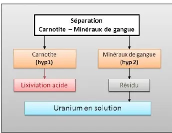 Figure 1-10 - Proposition 3 : séparation de la carnotite de l'ensemble des minéraux de gangue 