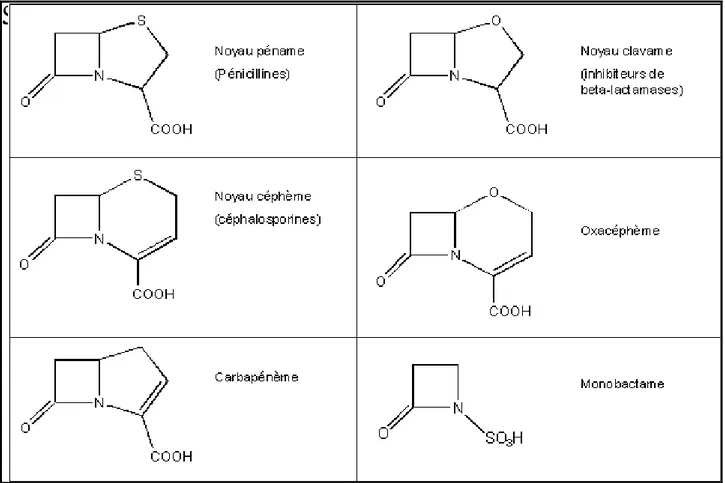 Figure 1: Principaux cycles de  type bêta-lactame   