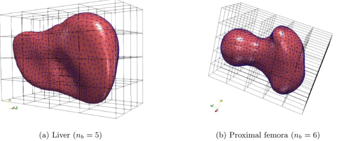 Figure 2.1: Template meshes with their bounding boxes. The visualization is done on Paraview