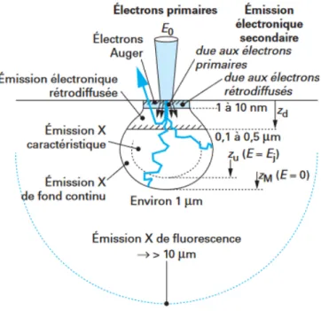 Figure 2.16 – Dimensions spatiales des différentes zones d’émissions électroniques et électromagnétiques [105]