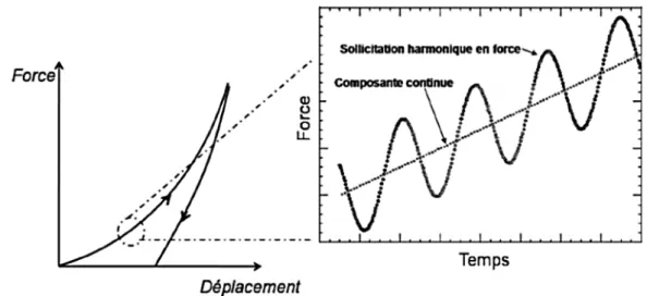 Figure 2.21 – Illustration de la superposition d’une composante sinusoïdale à la compo- compo-sante continue en indentation dynamique [110]