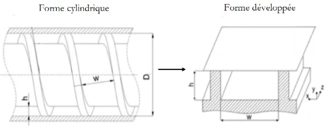 Figure 1.6. Forme cylindrique et forme développée de la vis de pompage (Alves 2009). 