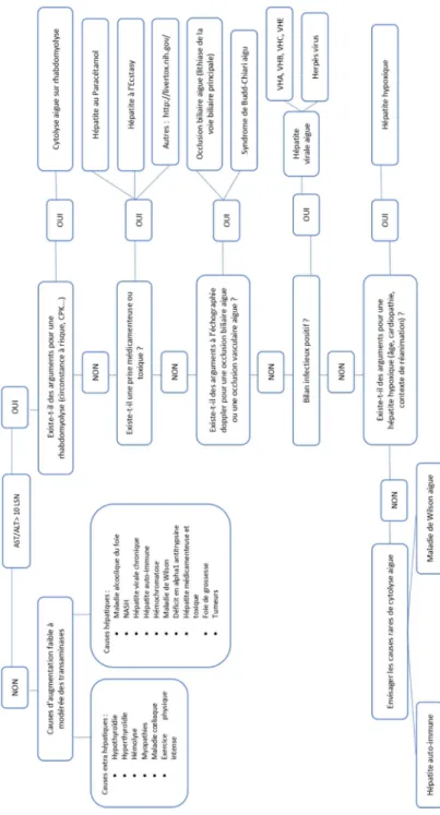 Fig. 3 Algorithme diagnostique devant des anomalies des tests hépatiques chez un patient de réanimation BH : bilan hépatique ; AST : aspartate aminotransférase ; ALT : alanine aminotransférase ; LSN : limite supérieure de la normale ; NASH : non alcoholic 