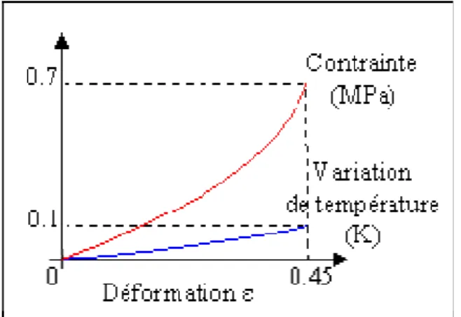 Fig. 1-9 : schématisation des effets du couplage  sur un élastomère lors d’un chargement