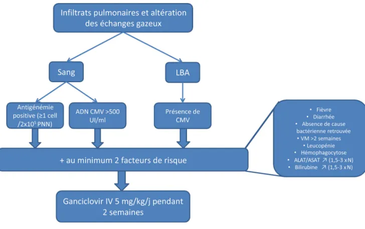 Fig. 1 Algorithme de traitement des réactivations CMV proposé par Papazian et al. [20]