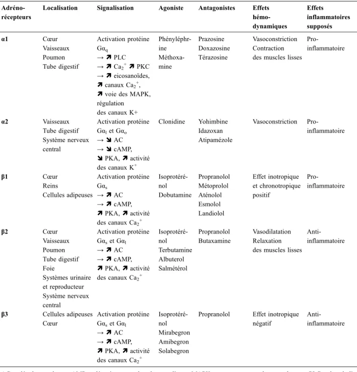 Tableau 1 Classification, localisation, signalisation, agonistes, antagonistes, effets hémodynamiques et inflammatoires des principaux adrénorécepteurs (d ’ après Scanzano et Cosentino, de Montmollin et al