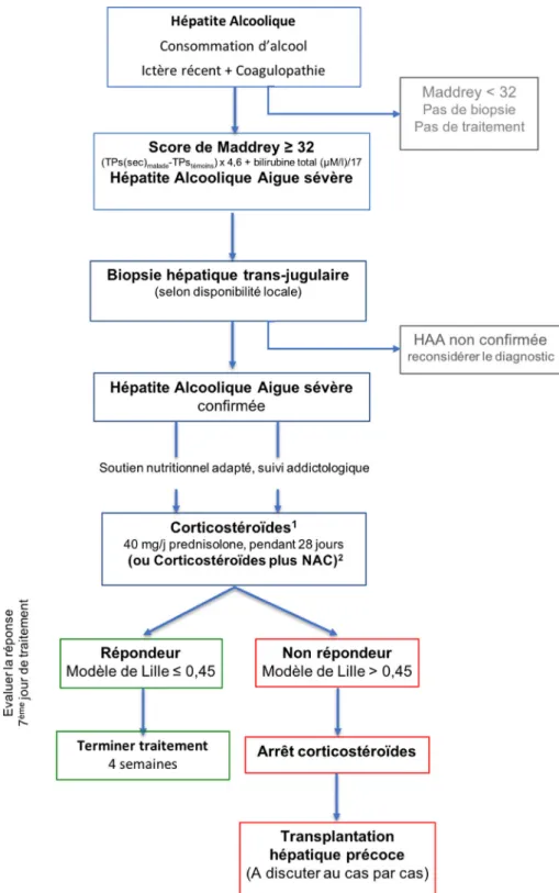 Fig. 2 Algorithme de prise en charge de l ’ hépatite alcoolique aiguë sévère. 1 recommandation de grade A1 ; 2 recommandation de grade B2 (guidelines EASL 2018 [1])
