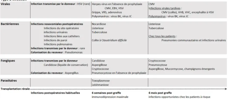 Fig. 2 Risque infectieux et principales infections en fonction du délai écoulé depuis la transplantation rénale (modifié d ’ après Fishman [16])
