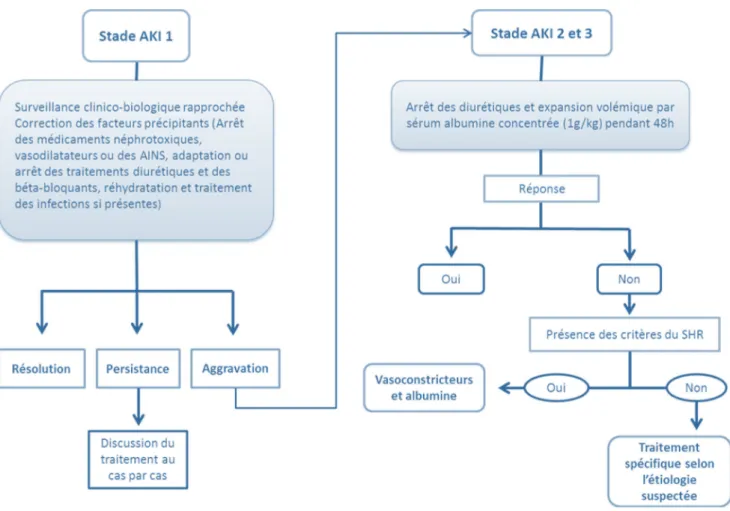 Fig. 2 Algorithme de prise en charge proposé par l ’ EASL (adapté de Angeli et al. [28])