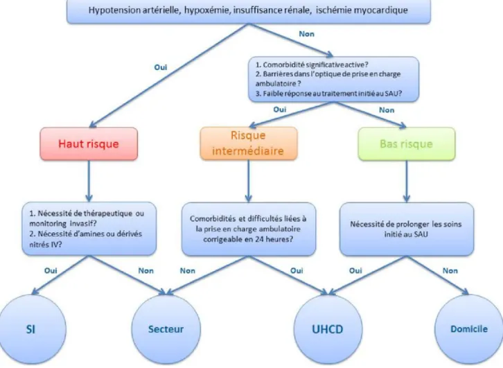 Fig. 6 Algorithme d ’ orientation à la sortie des urgences pour les patients atteints de SICA, adapté de Peacock et al