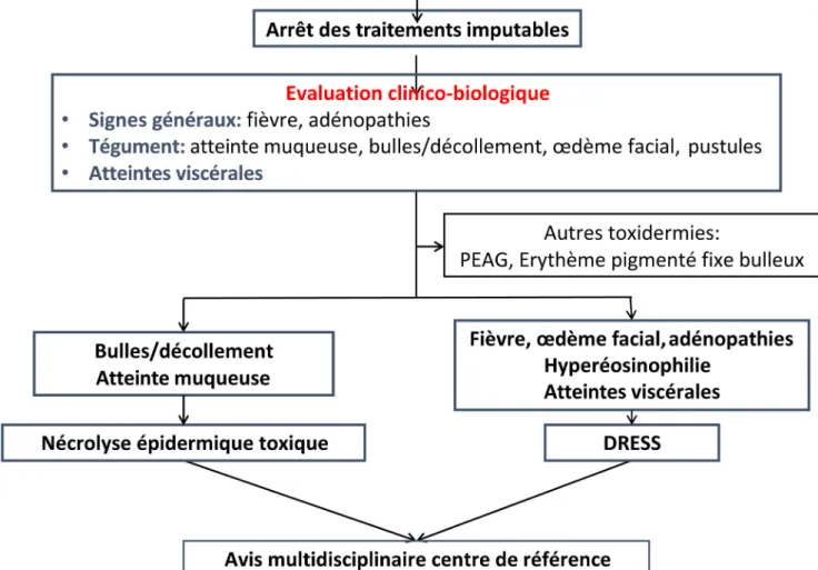 Fig. 3 Algorithme diagnostique simplifié des principales toxidermies graves (adapté de Duong et al