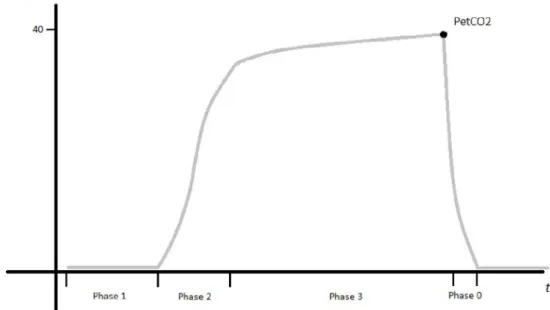 Fig. 2 Courbe de capnographie représentant la concentration de CO 2 expiré en fonction du temps