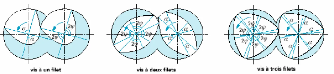 Figure 1-10 : Section transversale de vis à un, deux et trois filets (d’après Booy, 1978) 