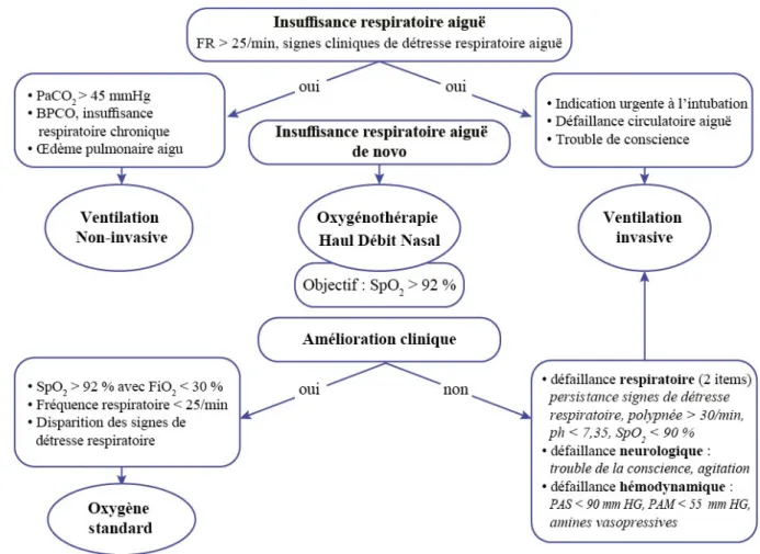 Fig. 1 Algorithme de prise en charge de l’insuffisance respiratoire aiguë hypoxémique