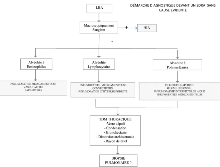 Fig. 1 Démarche diagnostique devant un SDRA sans cause évidente