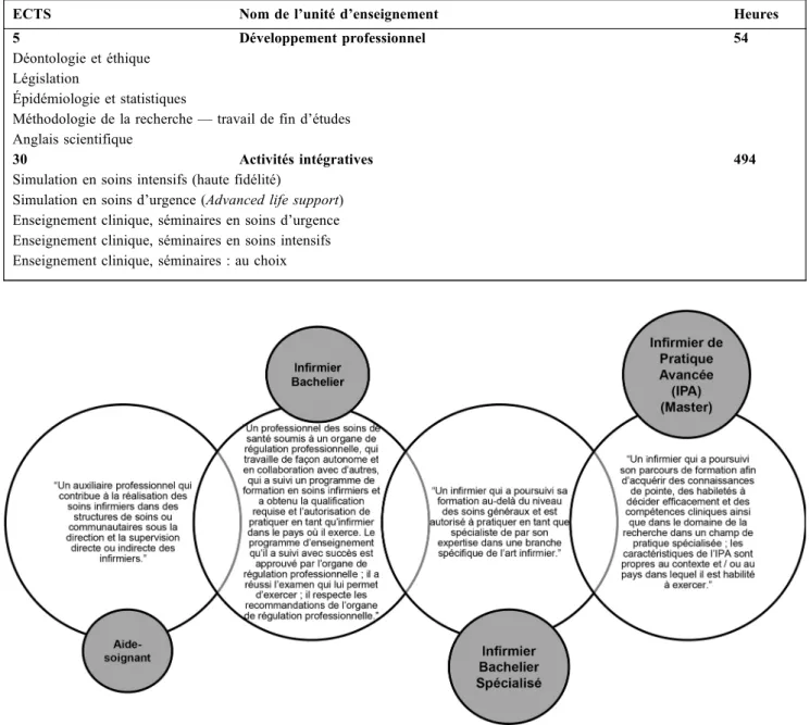 Fig. 1 Hiérarchie des titres et fonctions des infirmiers selon le CII et l ’ EFN