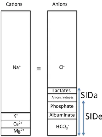 Fig. 2 Représentation schématique du modèle de Stewart. SID : strong ion difference ; a : apparent ; e : effectif