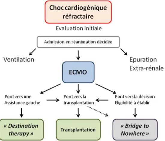 Fig. 3 Stratégie de prise en charge en réanimation. ECMO : extracorporeal membrane oxygenation