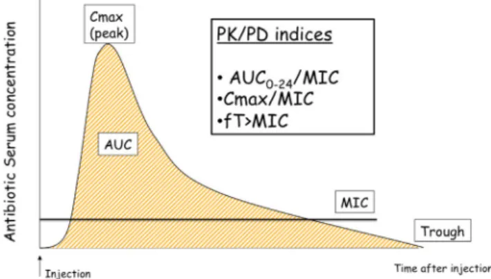 Fig. 1 Pharmacokinetics (PK)/pharmacodynamics (PD) indices that describe efficacy of antimicrobials