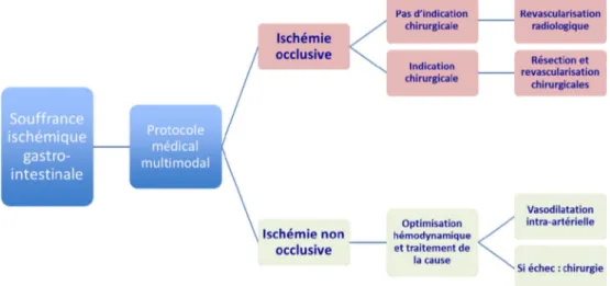 Fig. 4 Algorithme décisionnel dans la souffrance intestinale ischémique