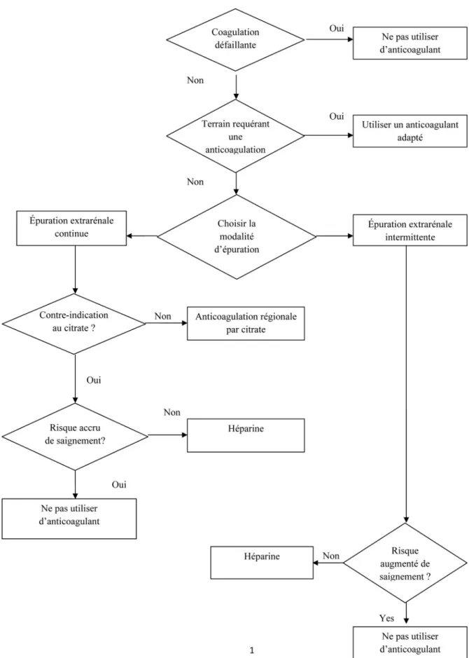 Fig. 1 Recommandation de 2012 du KDIGO sur le mode d ’ épuration extrarénale dans la prise en charge de l ’ insuffisance rénale aiguë.