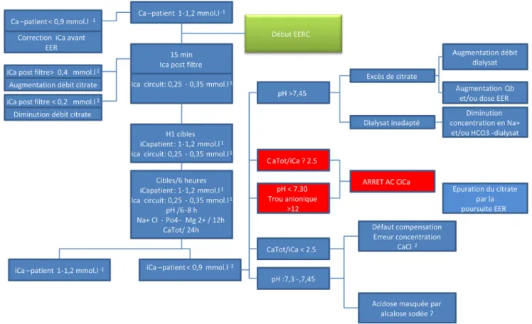 Fig. 6 Algorithme schématique décisionnel guidé sur la calcémie ionisée du circuit et du patient au cours d ’ une épuration extrarénale continue (EERC)