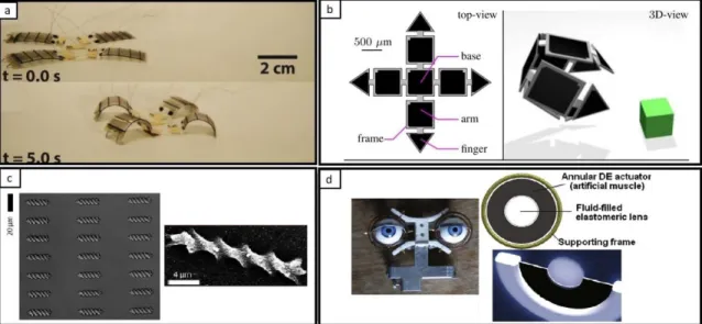 Figure  2.1.  Examples  of   the  applications  of  microactuators .  (a)  Four-legged  small  size  robot