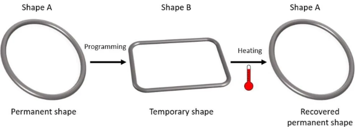 Figure 2.10. Actuation mechanism of the thermally induced shape memory effect in SMP.  