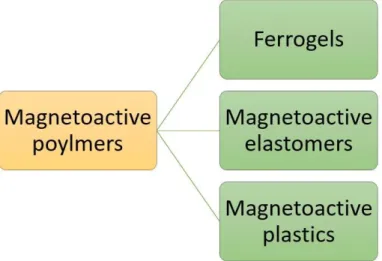 Figure 2.12. Classification of  magnetoactive polymers according to the used polymeric  matrix (adapted from [106])