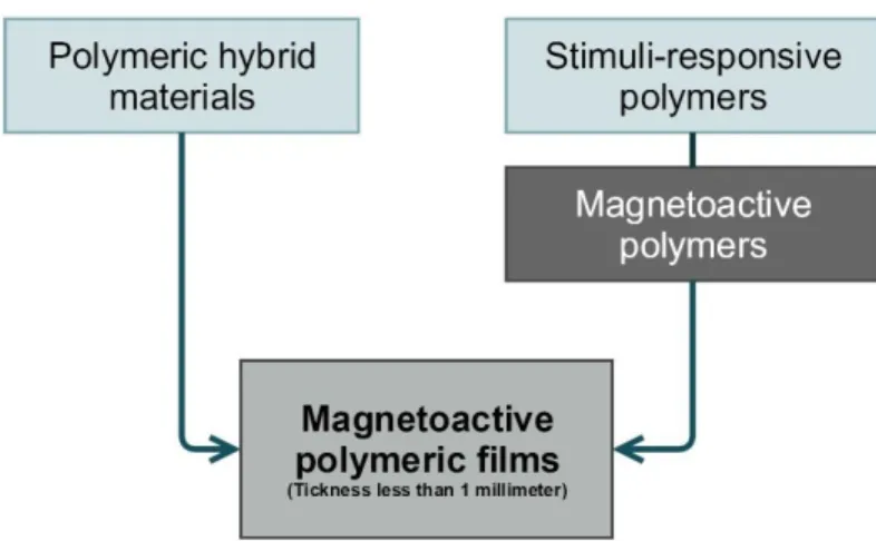 Figure 2.21. Different classifications  where magnetoactive polymeric fil ms can be found
