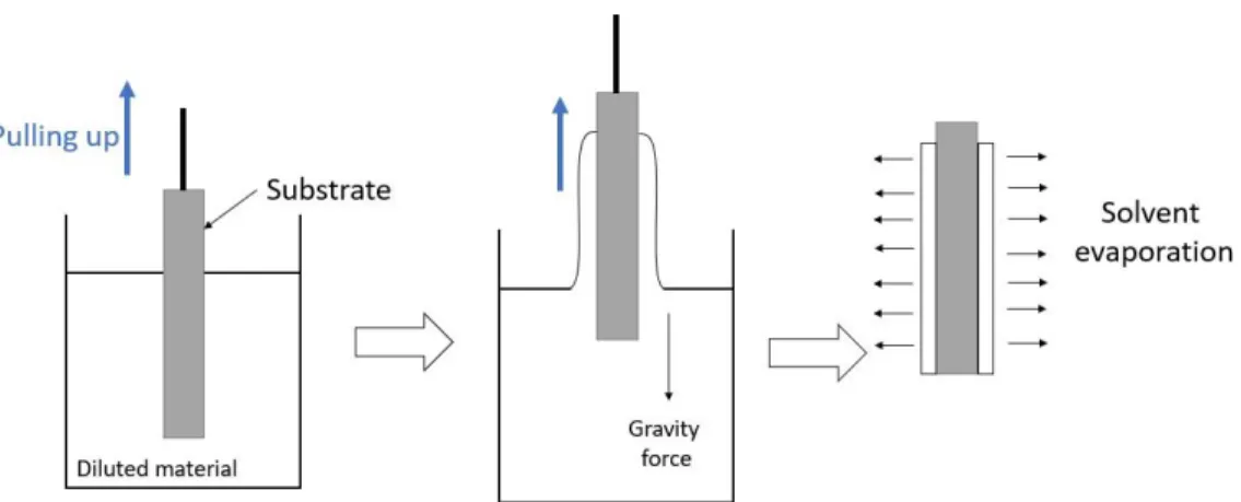 Figure 2.23. Steps of the  dip-coating technique  to obtain polymeric films . 