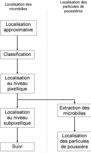 Fig. 2.11 – Algorithme de localisation des microbilles et des particules de poussières.