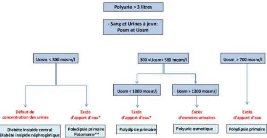 Fig. 3 Démarche diagnostique d ’ une polyurie sans hypernatrémie. * : non-observance de la restriction hydrique ; ** : présence fréquente d ’ une hyponatrémie associée