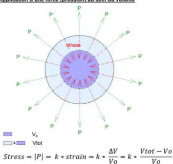 Fig. 2 Concept de stress et strain dans un modèle volumétrique.