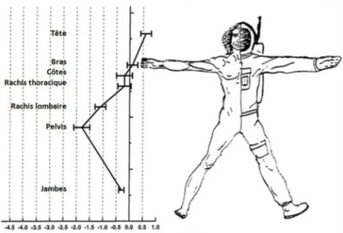 Fig. 5 Changements de densité minérale osseuse induits par l ’ ape- ape-santeur, en % par mois de vol spatial