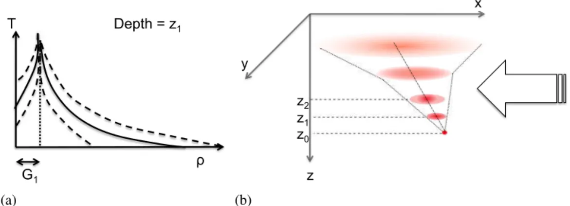 Figure 3.5 – (a). Evolution of the temperature as a function of the horizontal distance ρ for one depth z 1 