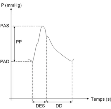 Fig. 3 Analyse du contour de l ’ onde de pouls en tonométrie arté- arté-rielle. L ’ axe des ordonnées représente la pression en fonction du temps, en abscisse DES : durée d ’ éjection systolique ; DD : durée de diastole ; P : pression ; PP : pression pulsé