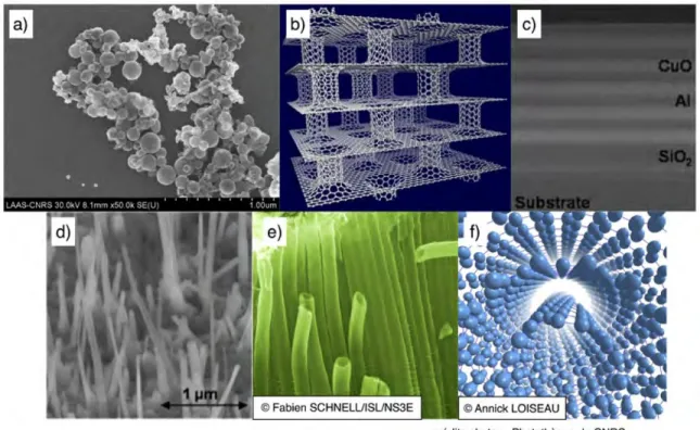 Figure 1.1 – a) Structures en nanopoudres assemblées par ADN [16], b) en nanofeuillets [17], c) en multicouches [18–20], d) en nanofils[18], e) en nanotubes et f) en nanotubes multi-feuillets.