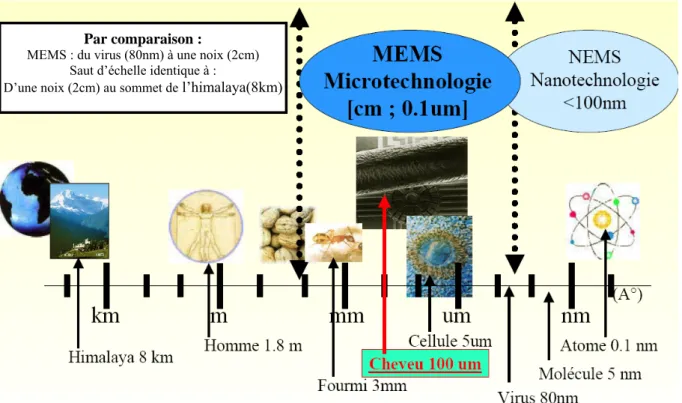 Figure 1. Positionnement des microsystèmes dans l’échelle de taille des objets. 