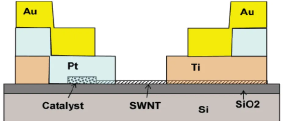 Figure 8 : Schéma de principe d’une diode Schottky à base de nanotube de carbone mono feuillet. 