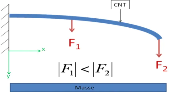 Figure 8 : Poutre (nanotube) encastrée‐libre soumise à une force non uniforme. Au fur et à mesure de  la déflexion la force F2 deviendra de plus en plus importante devant F1. 