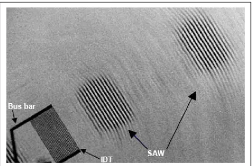 Fig I. 4. Photo MEB d’un transducteur interdigité et de deux pulsations à ondes  acoustiques [65] 