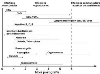 Fig. 2 Chronologie des principales infections bactériennes, virales et fongiques chez le patient transplanté (Adapté de Fishman J, Rubin R, New Engl J Med 1998;338:1741-51)