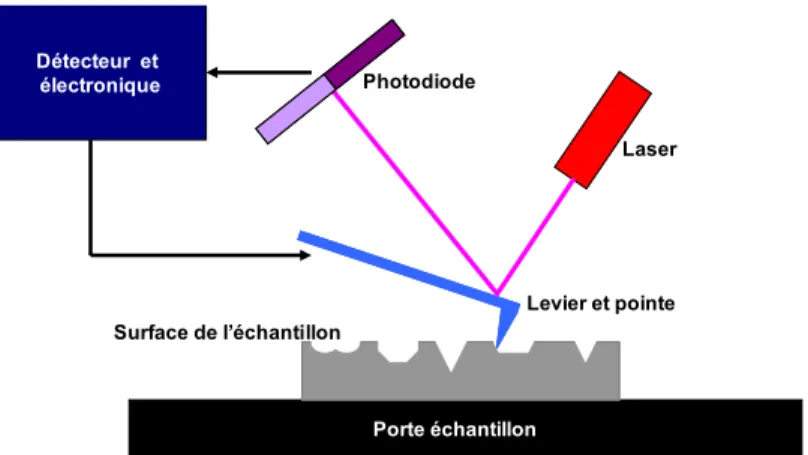 Figure 18 : Schéma de principe du fonctionnement d’un microscope à force atomique. 