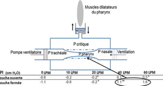 Fig. 3 À l ’ inspiration - Modèle de Starling - Segment collapsible du tube pharyngé. La position du piston dépend de la contraction des muscles dilatateurs du pharynx (activités phasiques) et du débit généré par la THDH