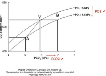 Fig. 3 L ’ effet Haldane. La courbe de dissociation de l ’ HbCO 2 se déplace vers la droite lors de l ’ augmentation de la PaO 2 ,  augmen-tant ainsi la concentration de la forme dissoute de CO 2 alors que le contenu artériel total en CO 2 est inchangé