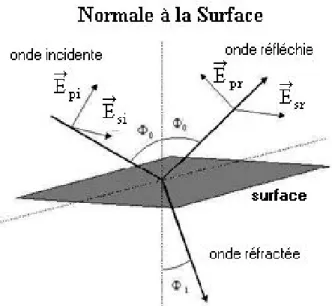 Fig. II.9 – Réﬂexion des axes de polarisation à la surface de l’échantillon.