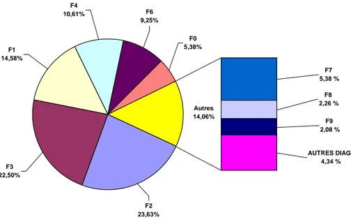 Graphique I : representation de la répartition des différents diagnostic à Ravenel. 