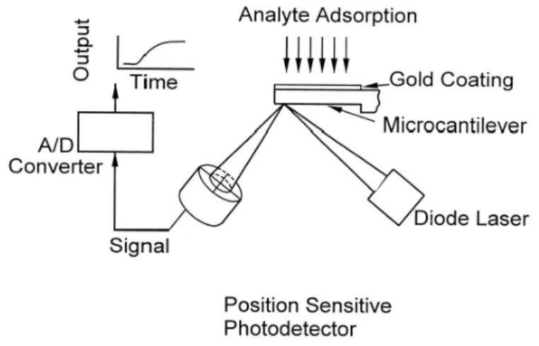 Figure I.14. Schéma du dispositif utilisé pour la mesure optique  de la flexion [18] 